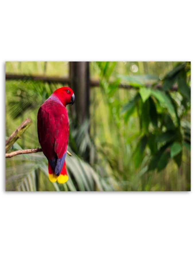 Parrot of paradise - Decorative painting for the living room | FEEBY