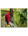 Parrot of paradise - Decorative painting for the living room | FEEBY