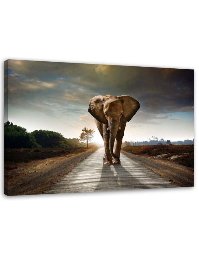 Canvas prints for living room - Elephant on the road - Wall decoration | FEEBY