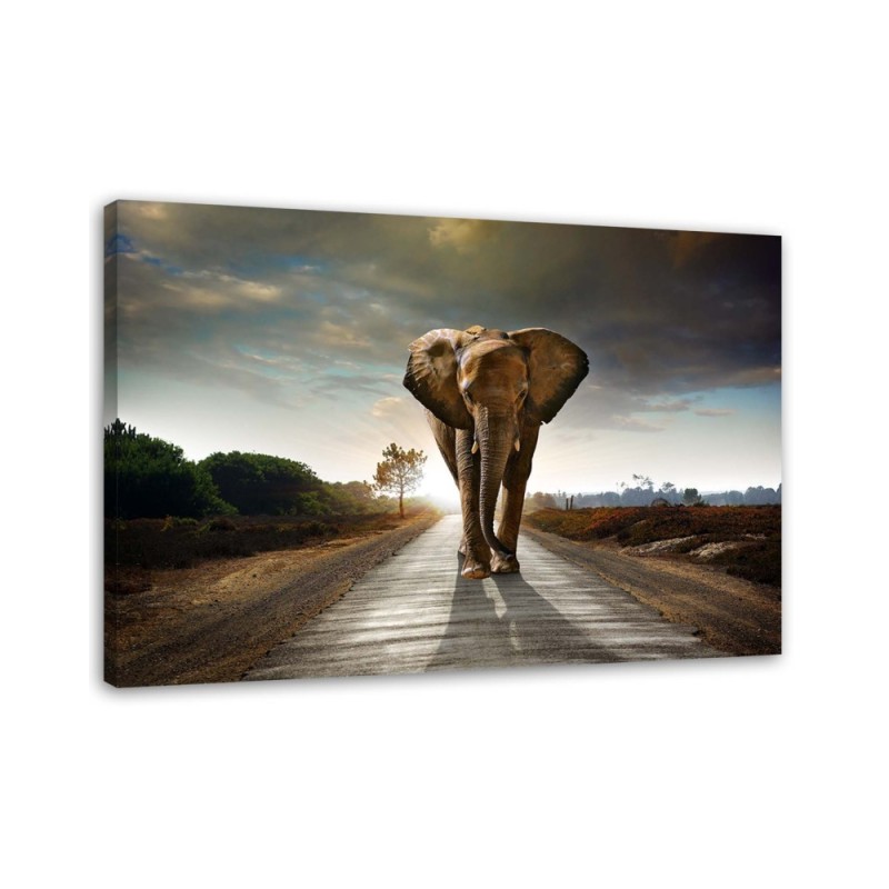 Canvas prints for living room - Elephant on the road - Wall decoration | FEEBY