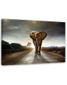 Canvas prints for living room - Elephant on the road - Wall decoration | FEEBY