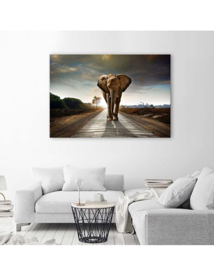 Canvas prints for living room - Elephant on the road - Wall decoration | FEEBY