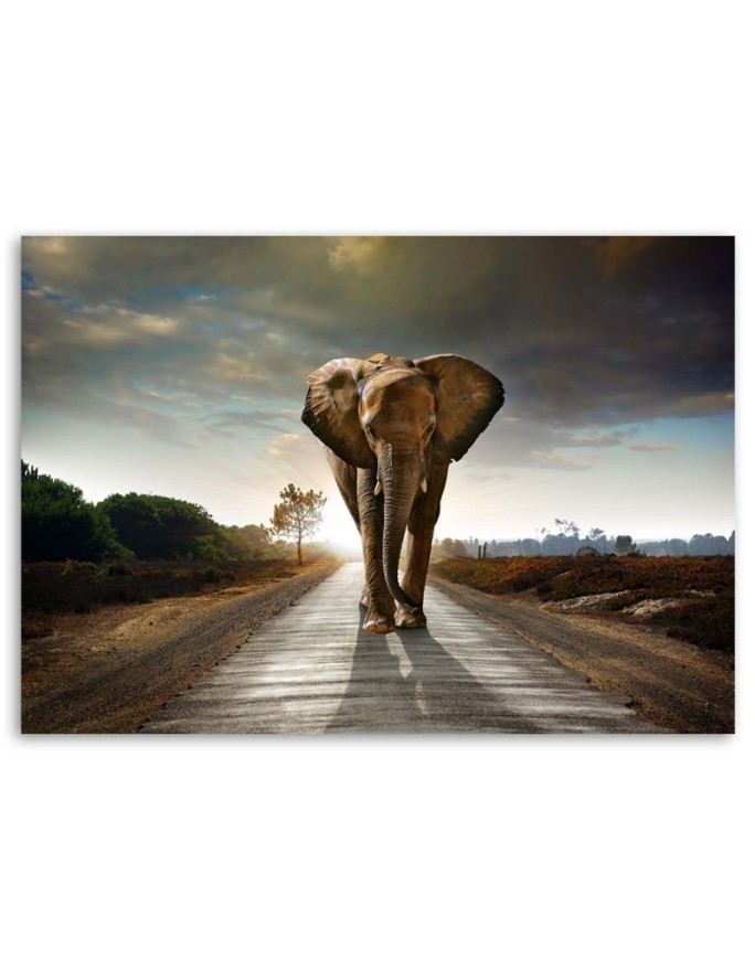 Canvas prints for living room - Elephant on the road - Wall decoration | FEEBY