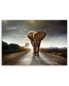 Canvas prints for living room - Elephant on the road - Wall decoration | FEEBY