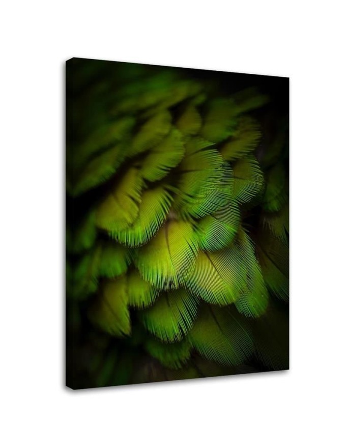 Decorative green feathers - Modern Canvas wall art | FEEBY