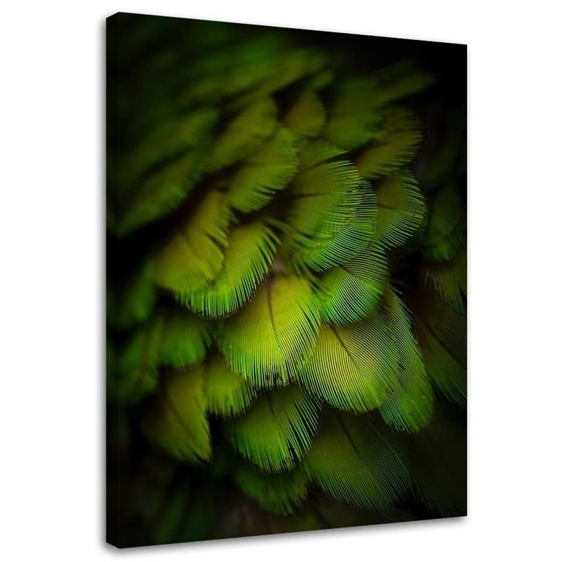 Decorative green feathers - Modern Canvas wall art | FEEBY