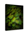 Decorative green feathers - Modern Canvas wall art | FEEBY