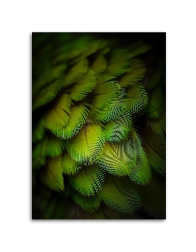 Decorative green feathers - Modern Canvas wall art | FEEBY