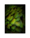 Decorative green feathers - Modern Canvas wall art | FEEBY