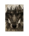 Wall art decoration - Black Wolf abstract sepia | FEEBY