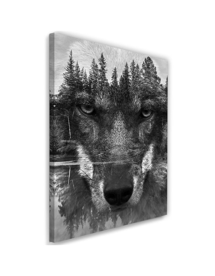 Canvas prints for living room - Black Wolf in fog | FEEBY