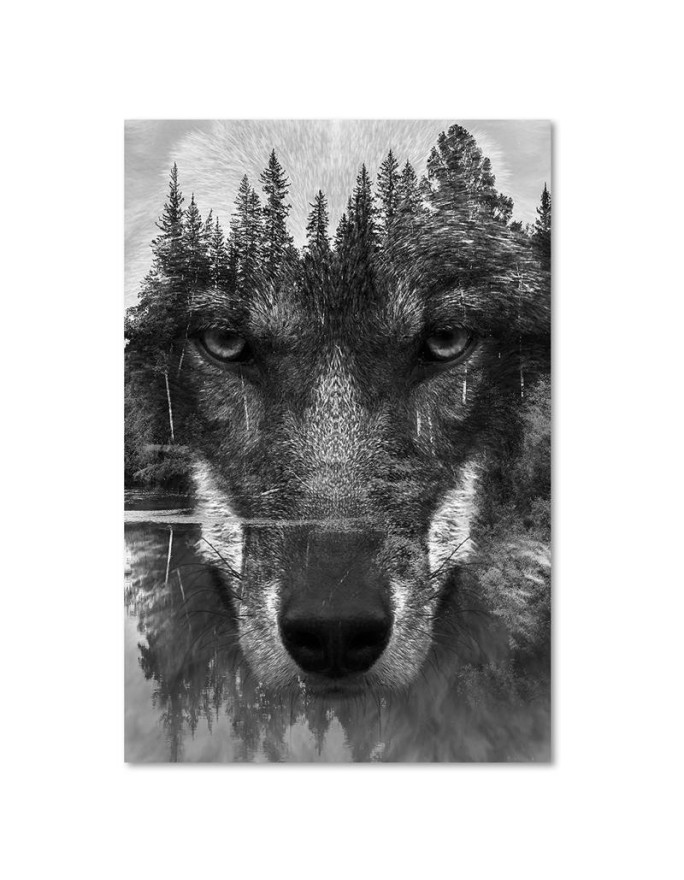 Canvas prints for living room - Black Wolf in fog | FEEBY