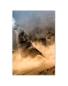 Modern Canvas painting for living room - Wolves howling at night to the moon | FEEBY