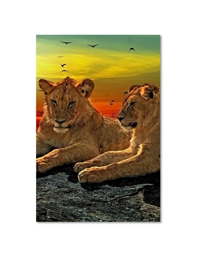 Canvas painting for bedroom - Lions on the savannah | FEEBY