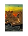Canvas painting for bedroom - Lions on the savannah | FEEBY