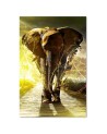 Canvas painting - Elephant on the road - Living room decoration | FEEBY