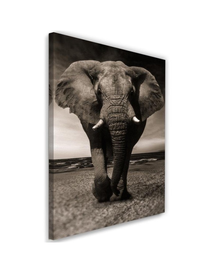 Canvas print XXL Elephant...