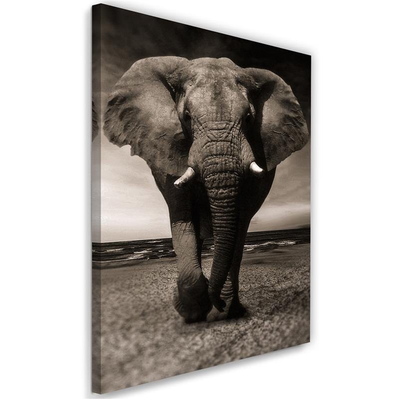 Decoration for the living room - Black and white elephant on the savannah | FEEBY