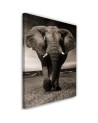 Decoration for the living room - Black and white elephant on the savannah | FEEBY