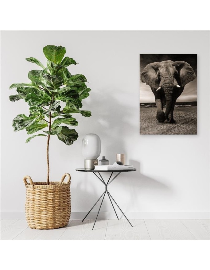 Decoration for the living room - Black and white elephant on the savannah | FEEBY