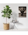 Decoration for the living room - Black and white elephant on the savannah | FEEBY