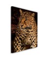 Leopard on black background- Canvas painting for living room | FEEBY