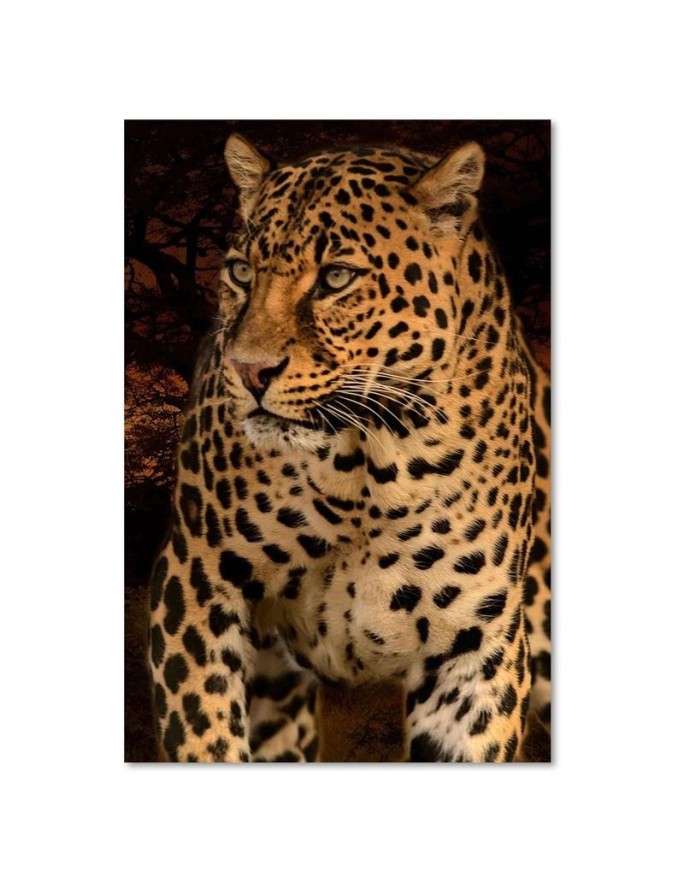 Leopard on black background- Canvas painting for living room | FEEBY