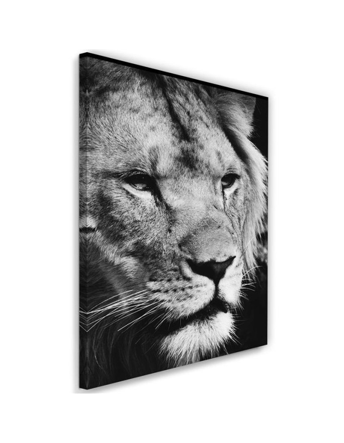 Black and white lion canvas painting | FEEBY