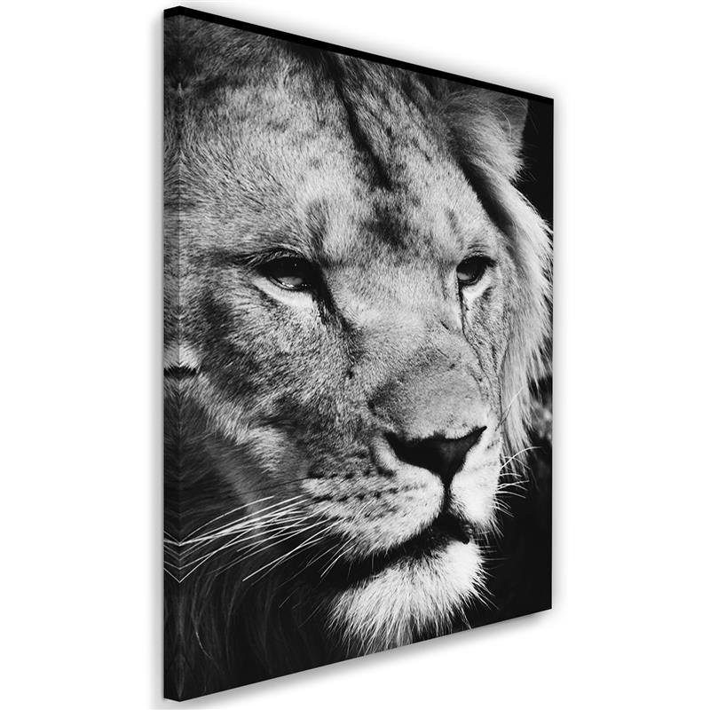 Black and white lion canvas painting | FEEBY