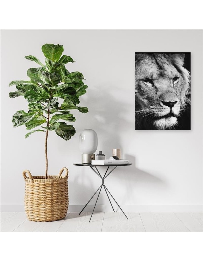 Black and white lion canvas painting | FEEBY