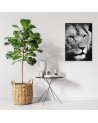 Black and white lion canvas painting | FEEBY