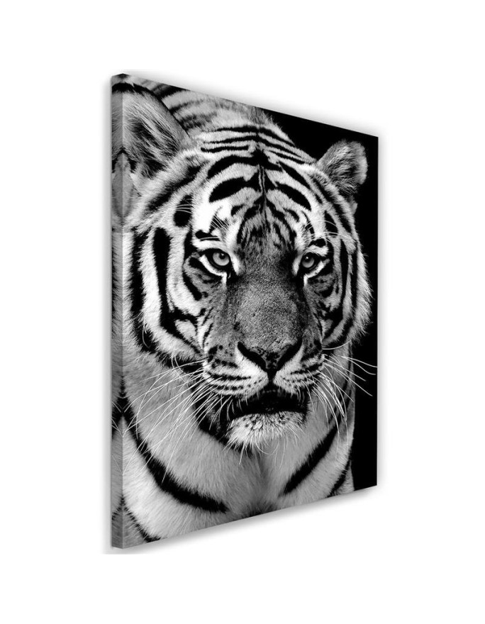 Black and white tiger - Wall art painting for living room | FEEBY
