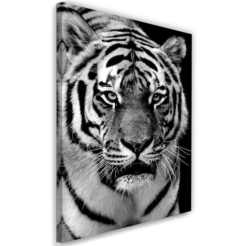 Black and white tiger - Wall art painting for living room | FEEBY