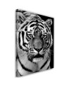Black and white tiger - Wall art painting for living room | FEEBY