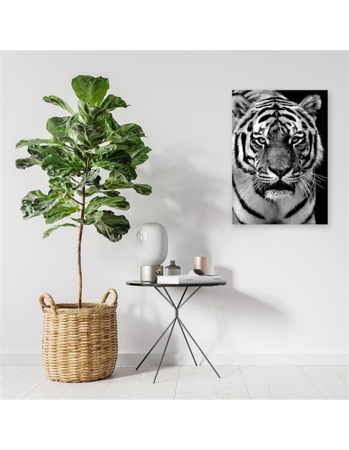 Black and white tiger - Wall art painting for living room | FEEBY
