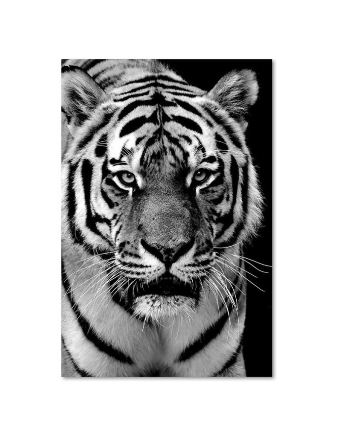 Black and white tiger - Wall art painting for living room | FEEBY
