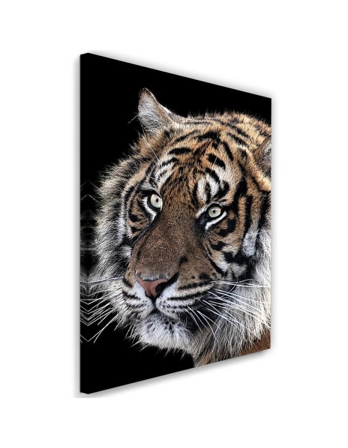 Living room wall art decoration - Tiger on black background | FEEBY