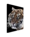 Living room wall art decoration - Tiger on black background | FEEBY