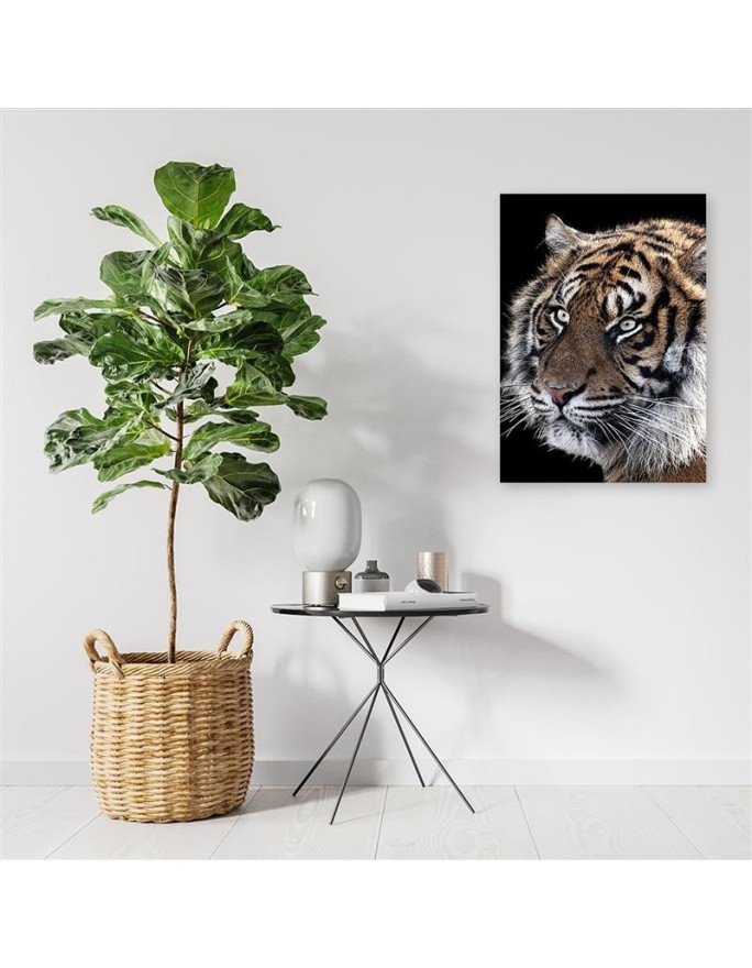 Living room wall art decoration - Tiger on black background | FEEBY