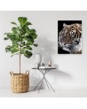 Living room wall art decoration - Tiger on black background | FEEBY
