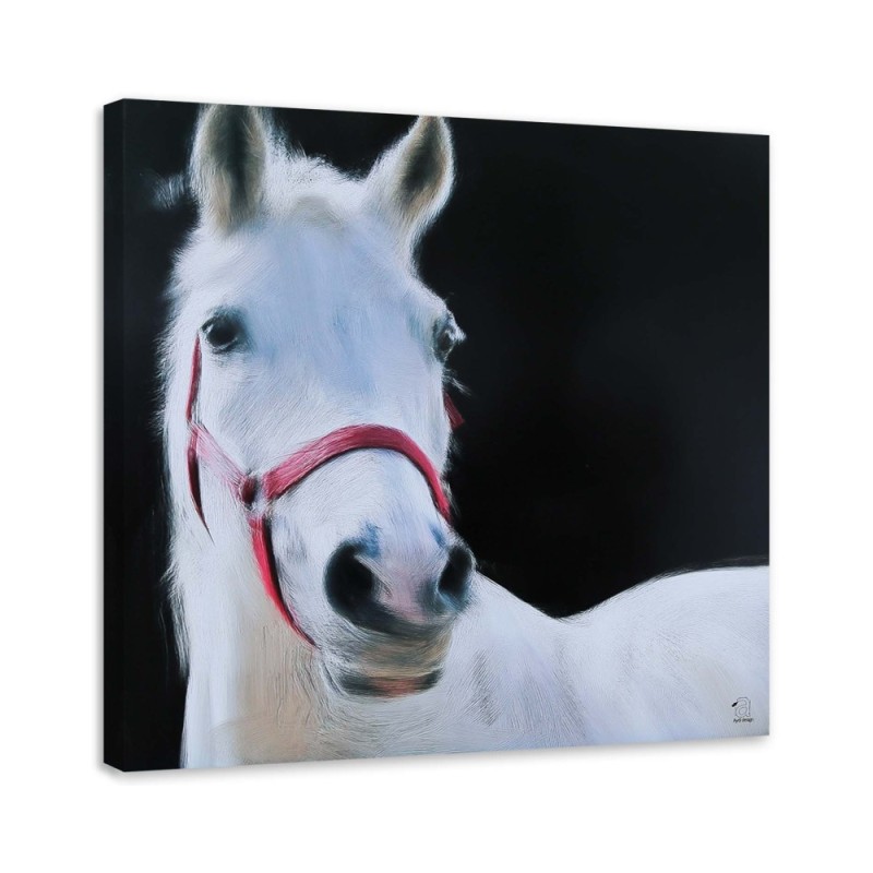 White horse head - Canvas painting for living room | FEEBY