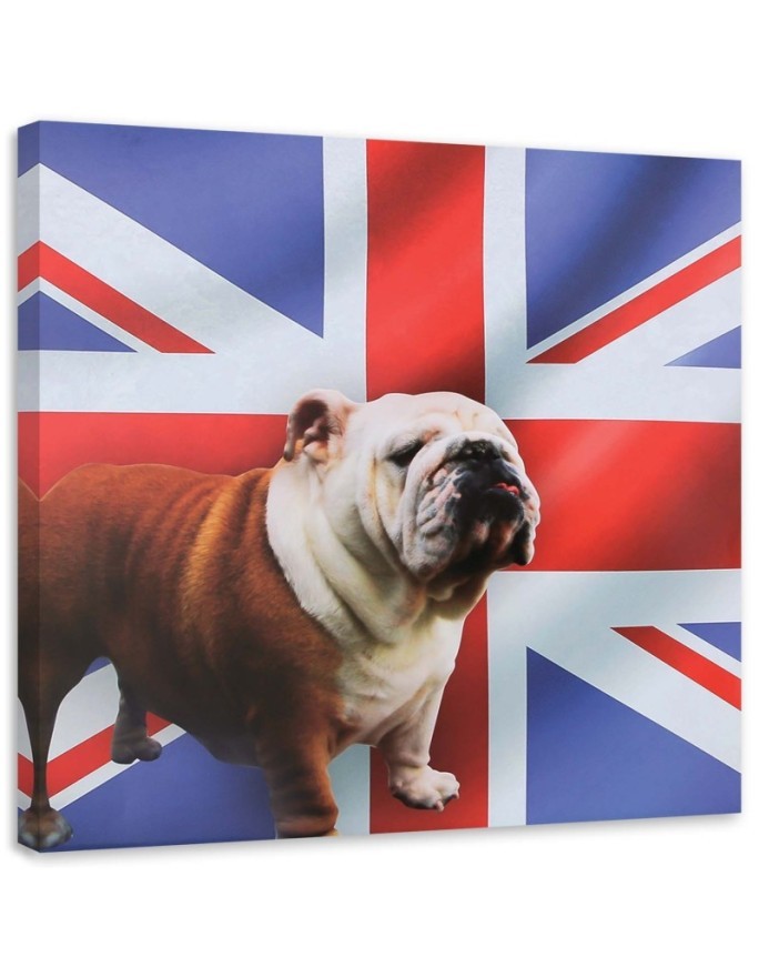 English bulldog on the background of the flag - Canvas painting for the living room | FEEBY