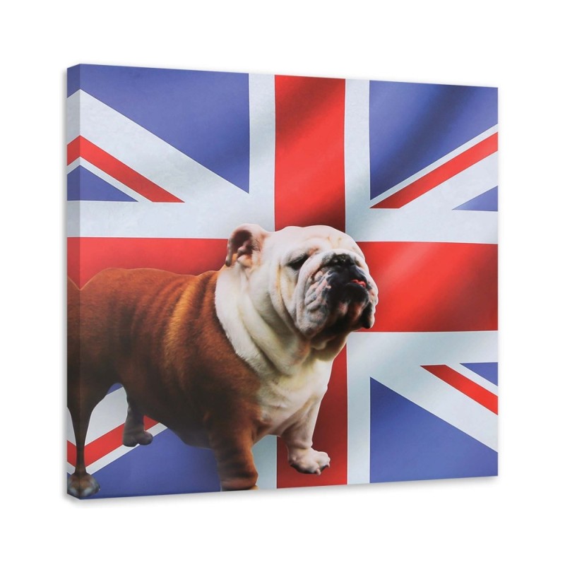 English bulldog on the background of the flag - Canvas painting for the living room | FEEBY