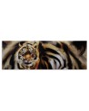 Tiger as hand painted - canvas painting for living room | FEEBY