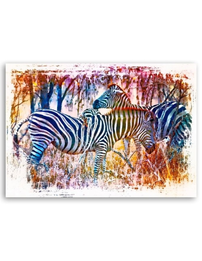 Two colourful zebras - Canvas painting for living room | FEEBY