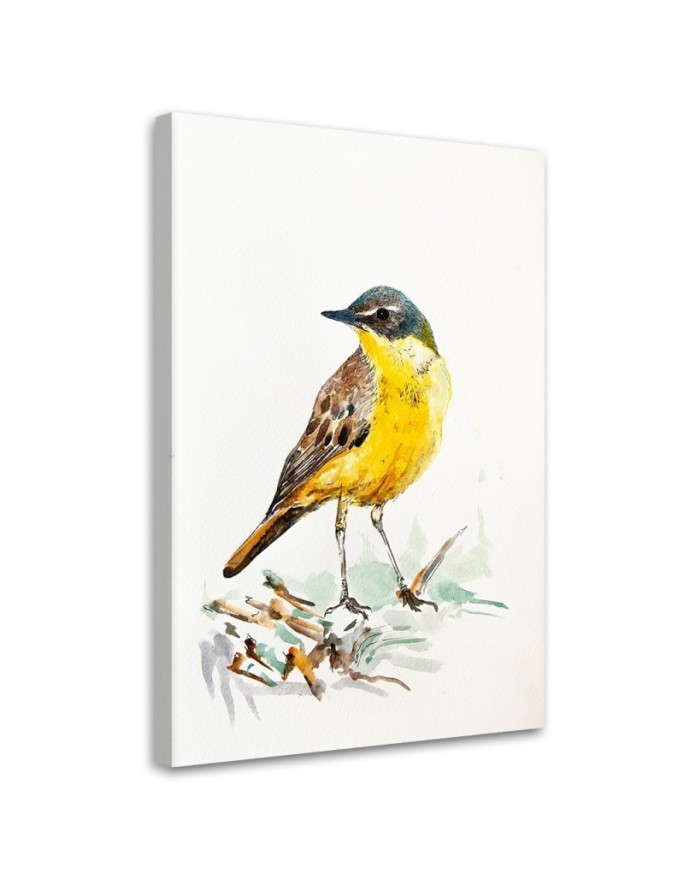 Canvas print Yellow bird -...