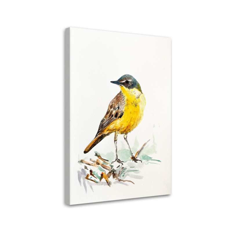 Canvas prints for a child's room Yellow bird on canvas | FEEBY