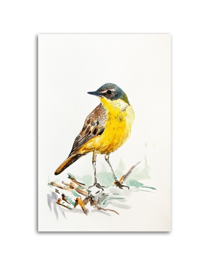 Canvas prints for a child's room Yellow bird on canvas | FEEBY