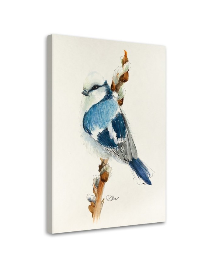 Canvas prints on canvas Small blue bird Dorota Martyńska | FEEBY