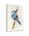 Canvas prints on canvas Small blue bird Dorota Martyńska | FEEBY